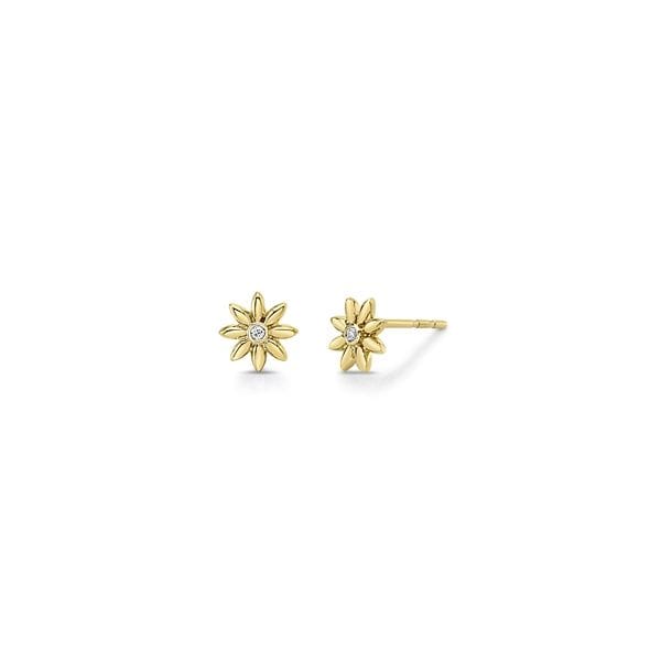 Shy Creation 14k Yellow Gold Earrings 0.03 ct. tw.
