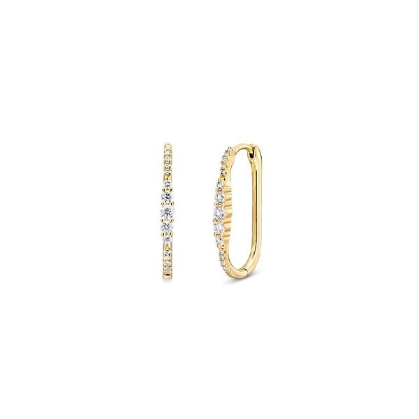 Shy Creation 14k Yellow Gold Earrings 1/4 ct. tw.